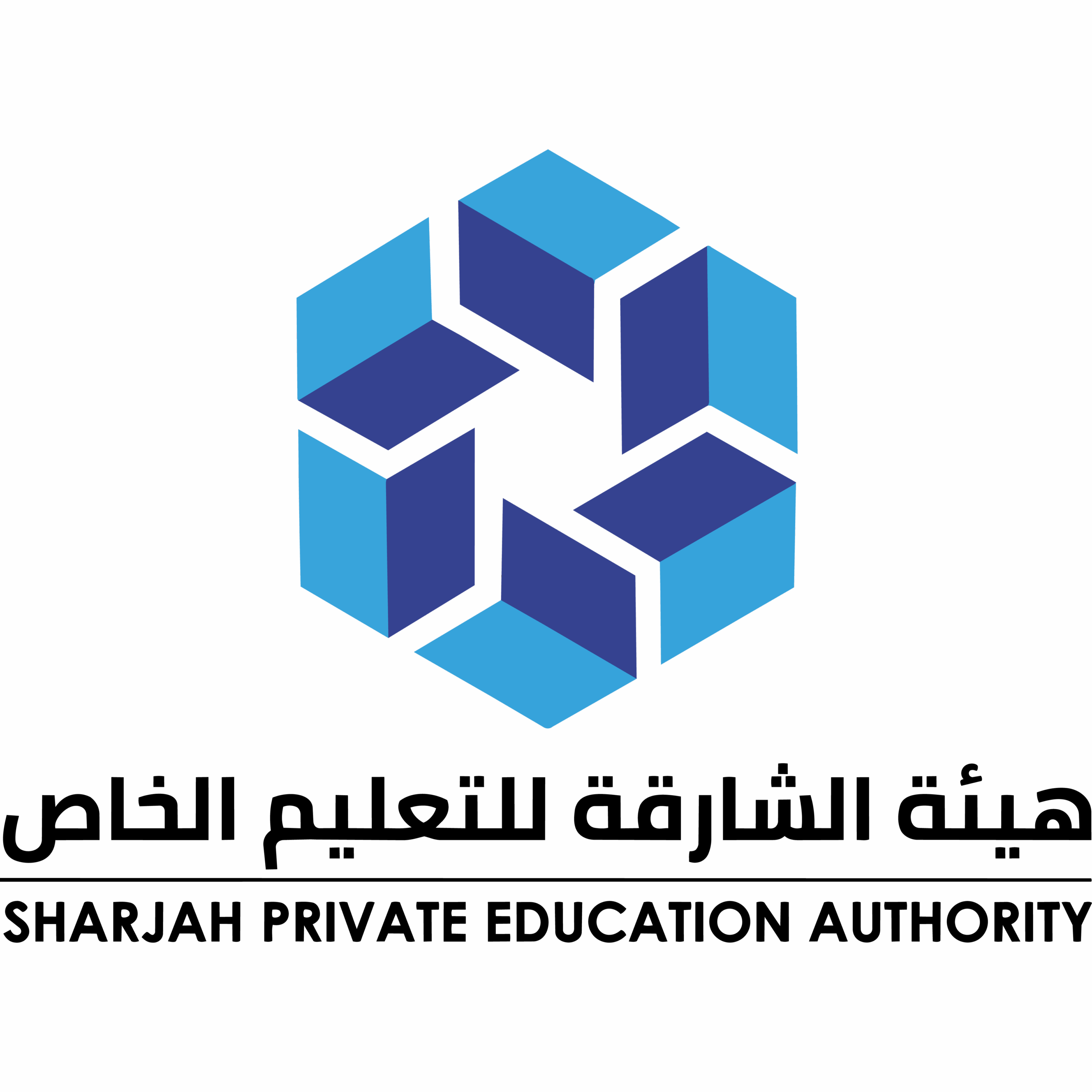 Partner 11